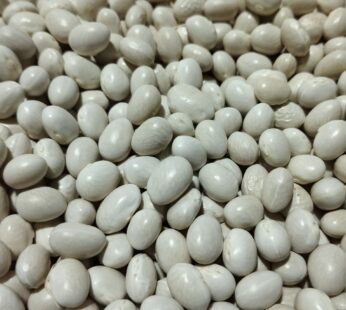 ŞEKER FASÜLYE YERLİ 1 KG