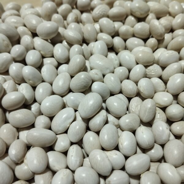 ŞEKER FASÜLYE YERLİ 1 KG